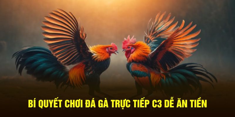 Bí quyết chơi đá gà trực tiếp C3 dễ ăn tiền